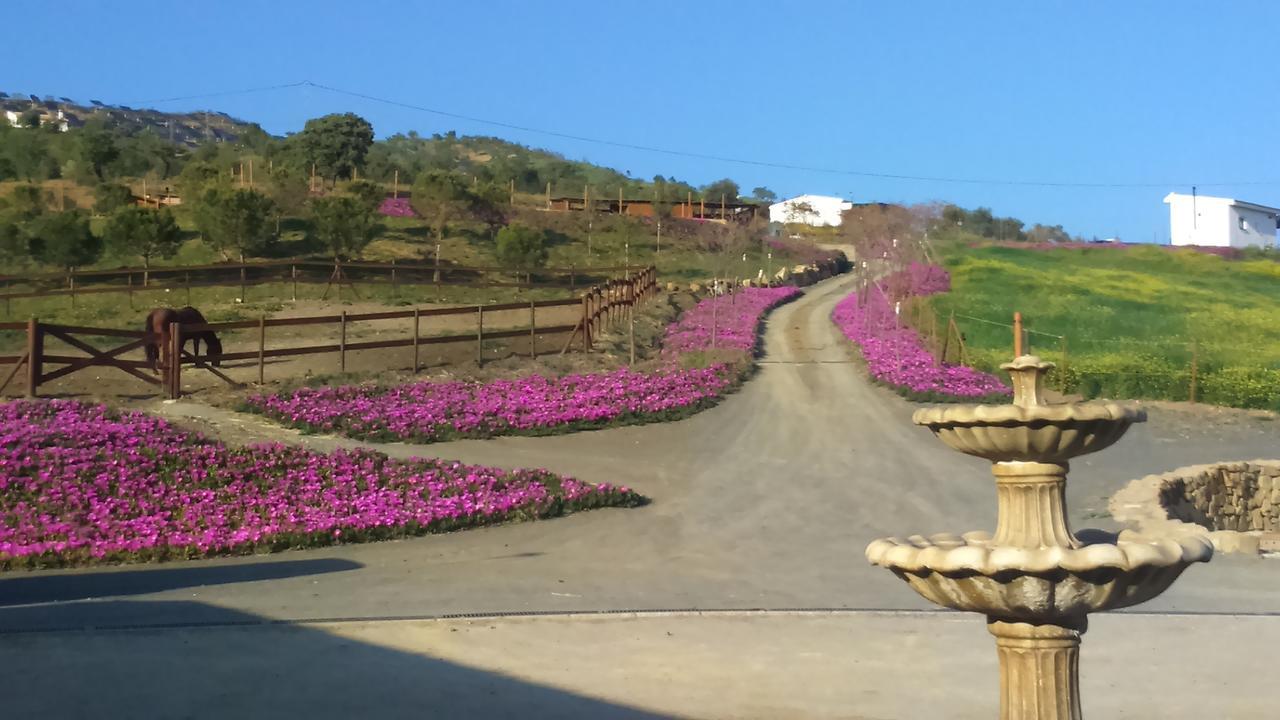 Biznaga Guest House กาซาแบร์เมฆา ภายนอก รูปภาพ